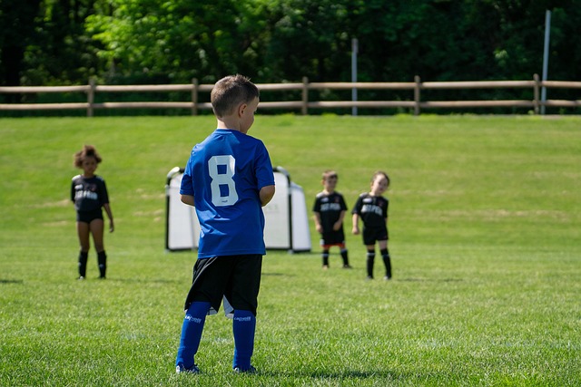 全国导游资格考试报考人数同比大幅增长 旅游业将迎更多“新人”.