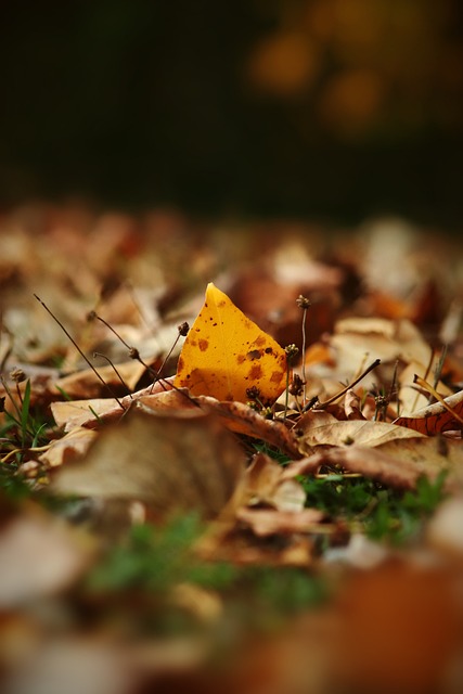 7场造9球！真蓝黑核心传射率队狂胜 力压德布劳.