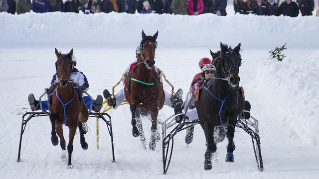 听并回应球 听并回应球