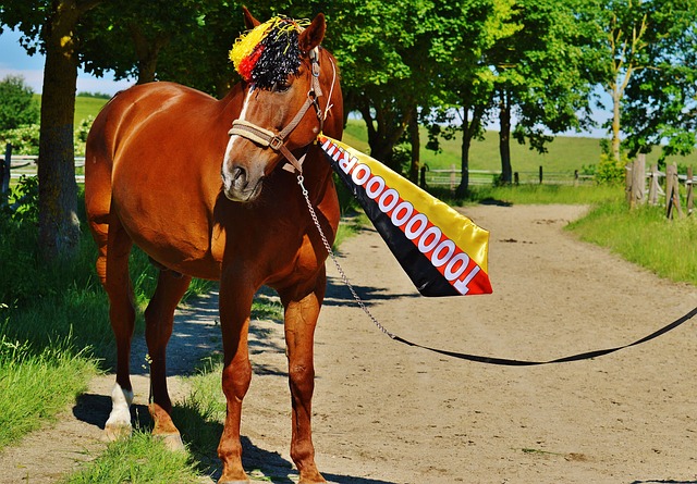 灵活的内外 灵活的内外