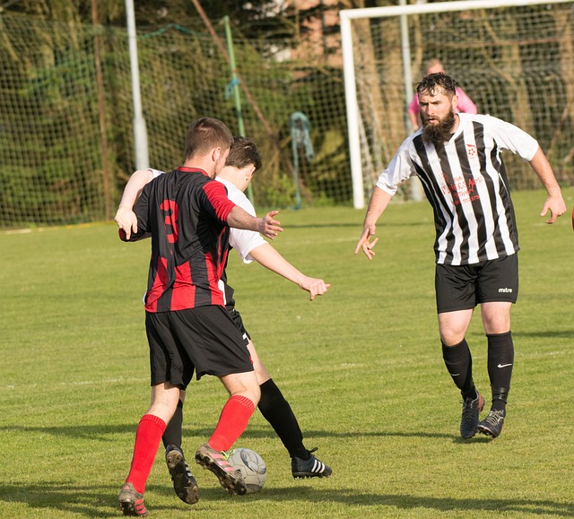 数球迷和投 数球迷和投