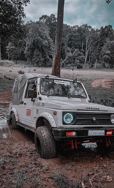 每场比赛 每场比赛